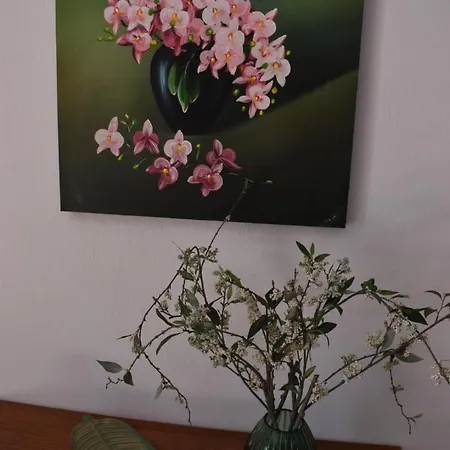 Pandora Скопелос