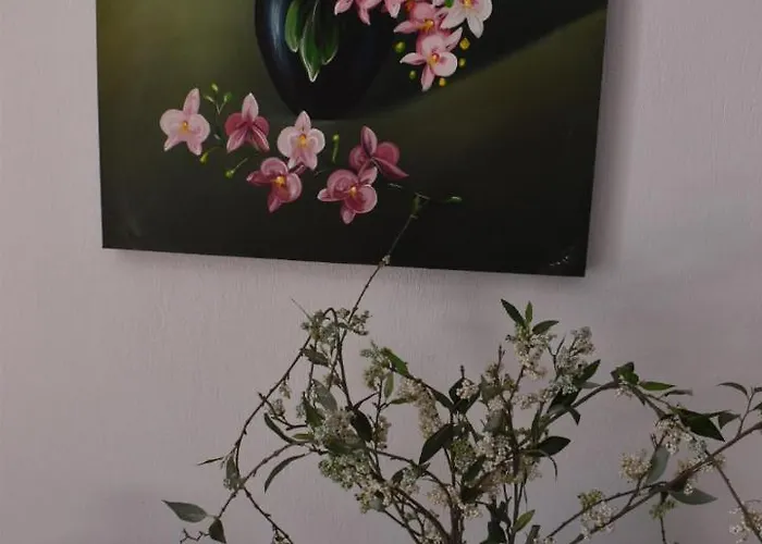 Pandora Città di Skopelos